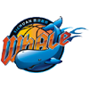 四川男篮 logo